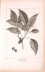 n393_w1150