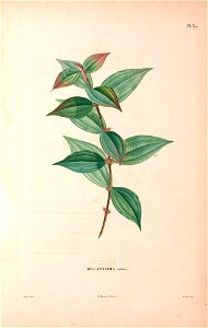 n173_w1150