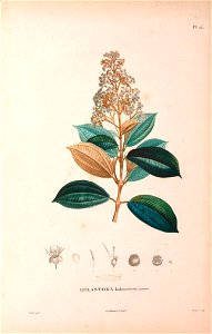 n107_w1150