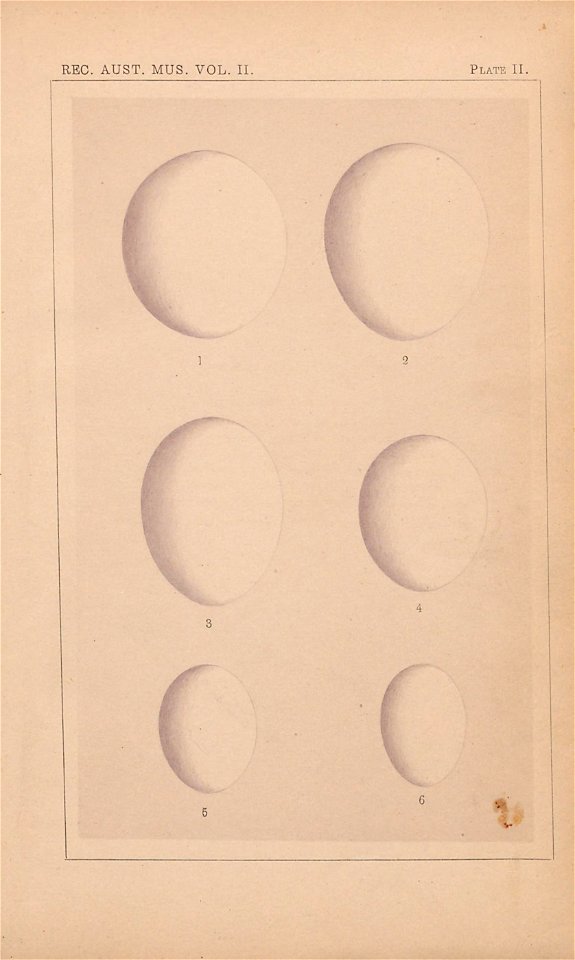 n572_w1150