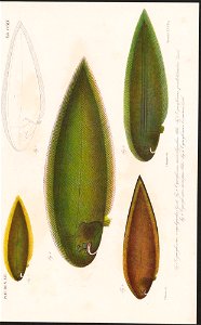 n191_w1150