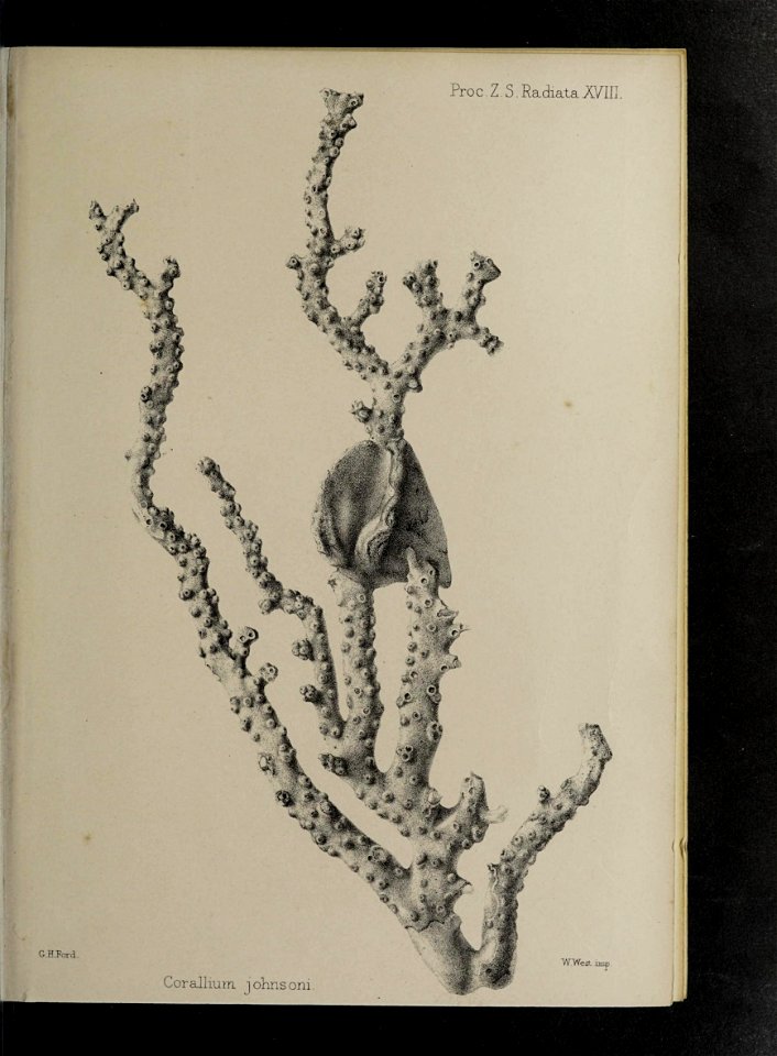 n194_w1150