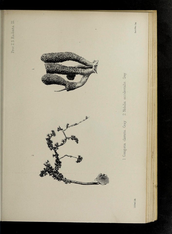 n164_w1150