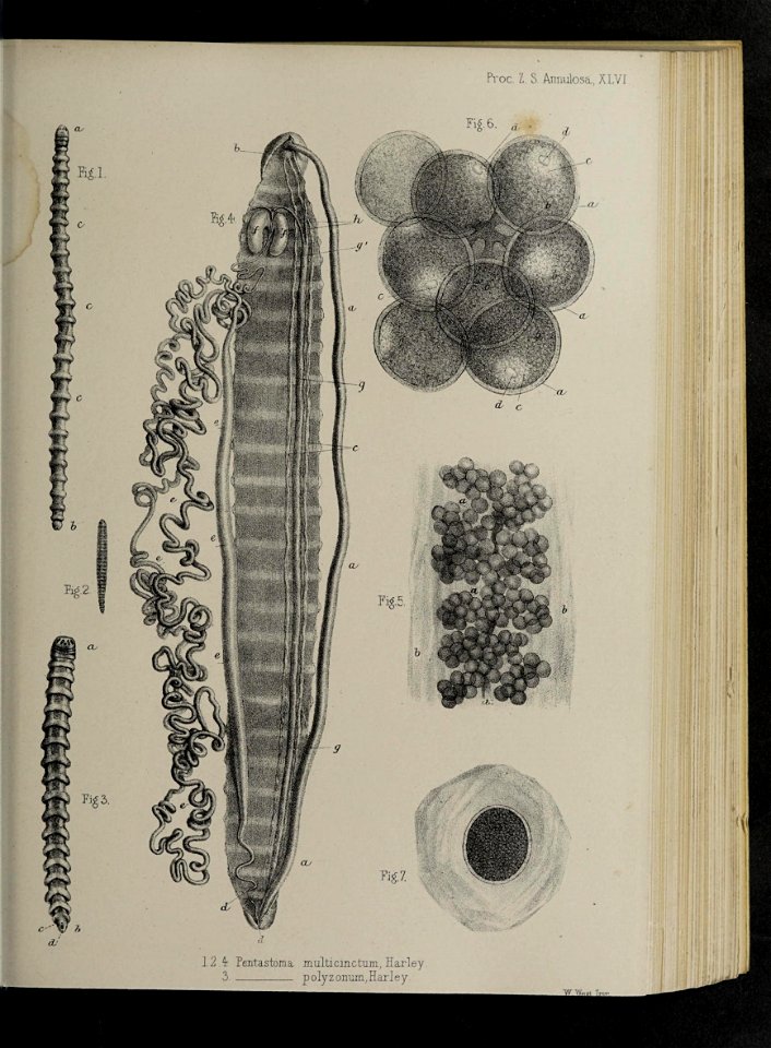 n104_w1150
