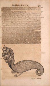 n504_w1150