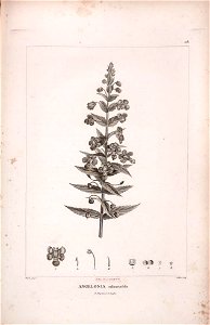 n526_w1150