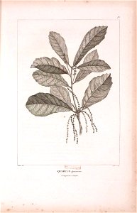 n403_w1150