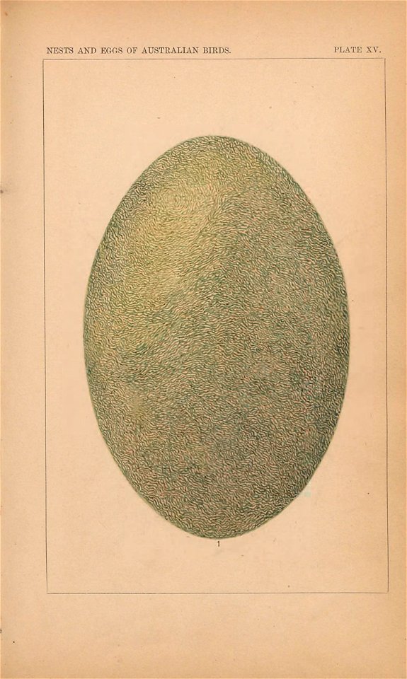 n498_w1150