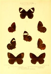 n69_w1150