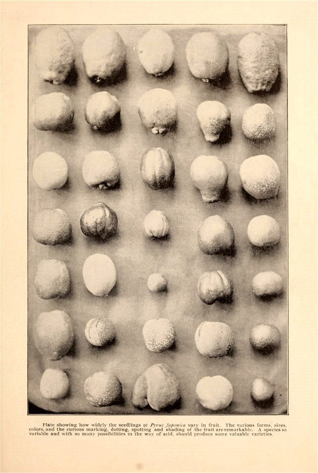 n92_w1150