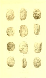 n364_w1150