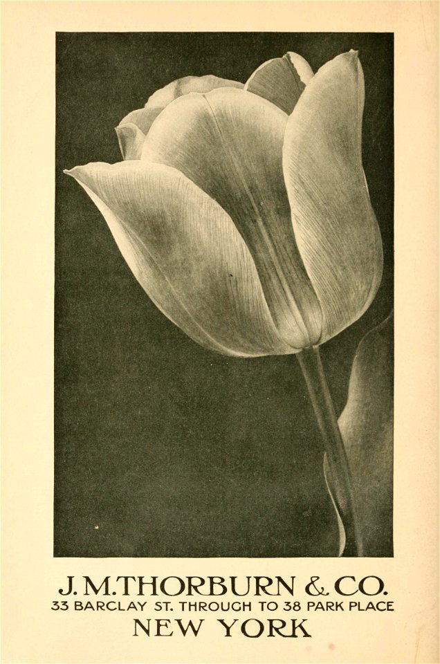 n407_w1150