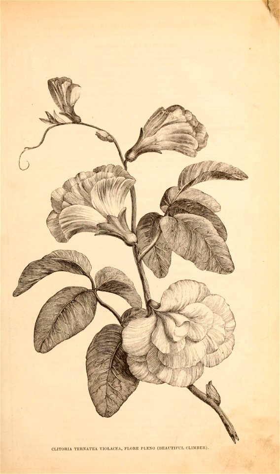 n102_w1150