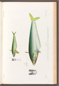 n176_w1150