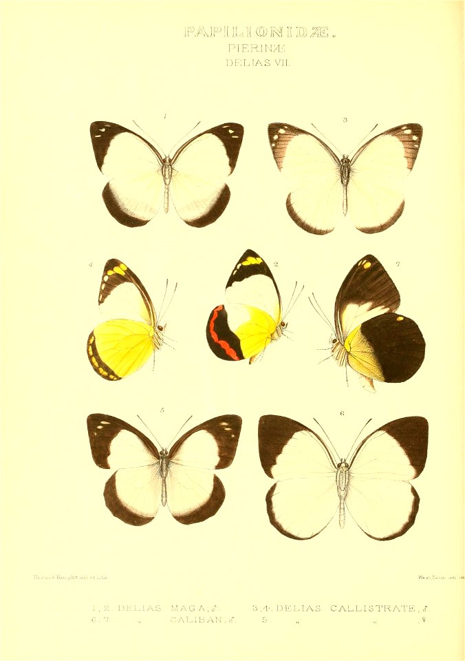 n208_w1150