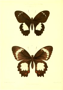 n121_w1150