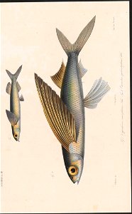 n195_w1150