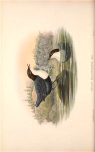 n171_w1150