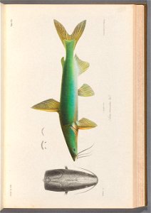 n112_w1150