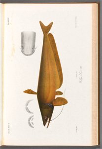 n170_w1150