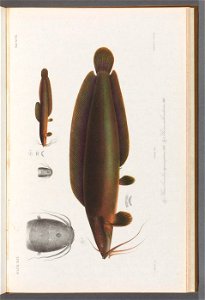 n194_w1150