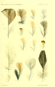 n383_w1150