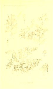 n460_w1150