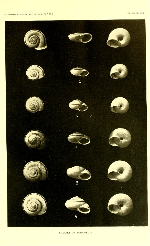 n282_w1150