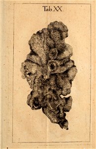 n162_w1150