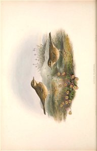 n57_w1150