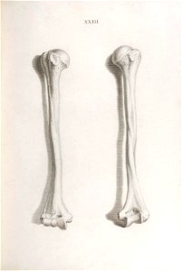 n218_w1150