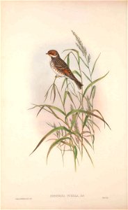 n105_w1150