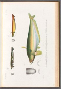 n174_w1150