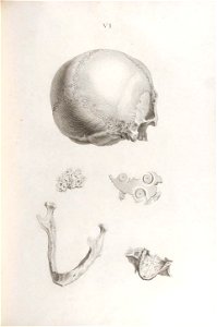 n184_w1150