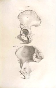 n96_w1150