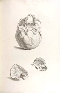 n182_w1150