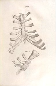 n94_w1150