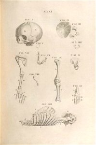 n122_w1150