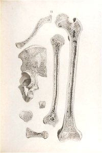 n176_w1150