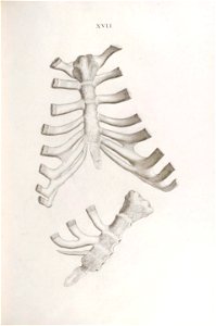 n206_w1150