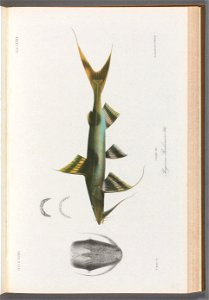 n162_w1150