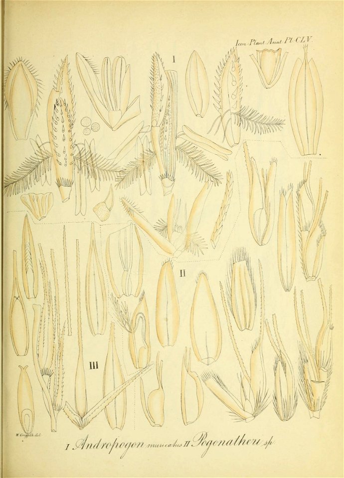 n46_w1150