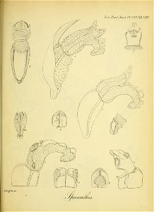 n314_w1150