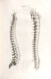 n102_w1150