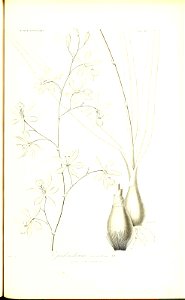 n296_w1150