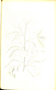 n176_w1150