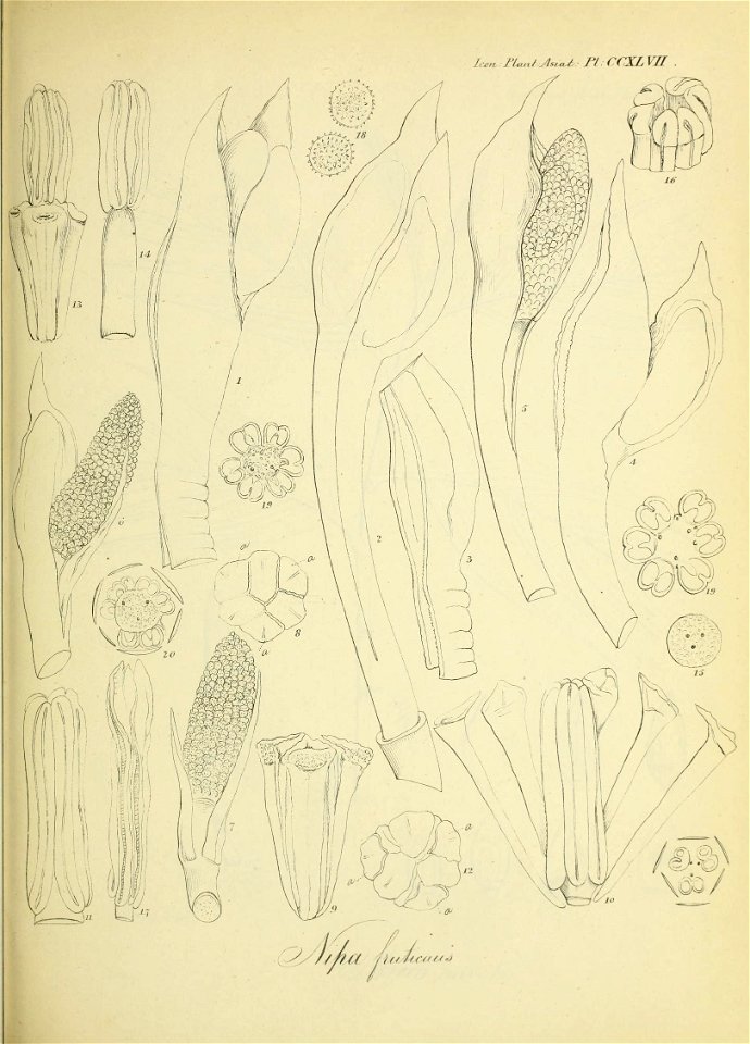n102_w1150