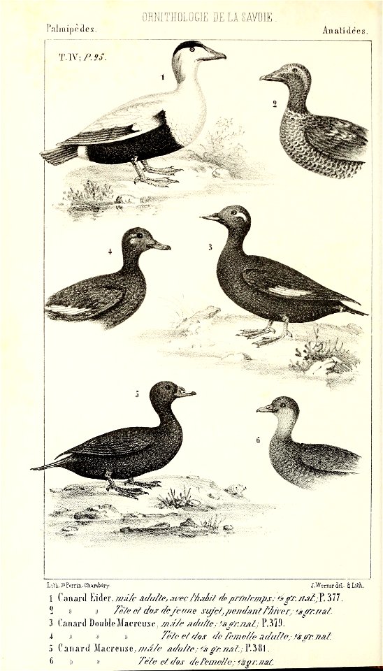 n433_w1150