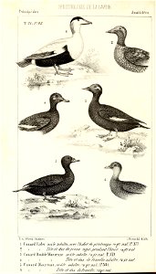n433_w1150