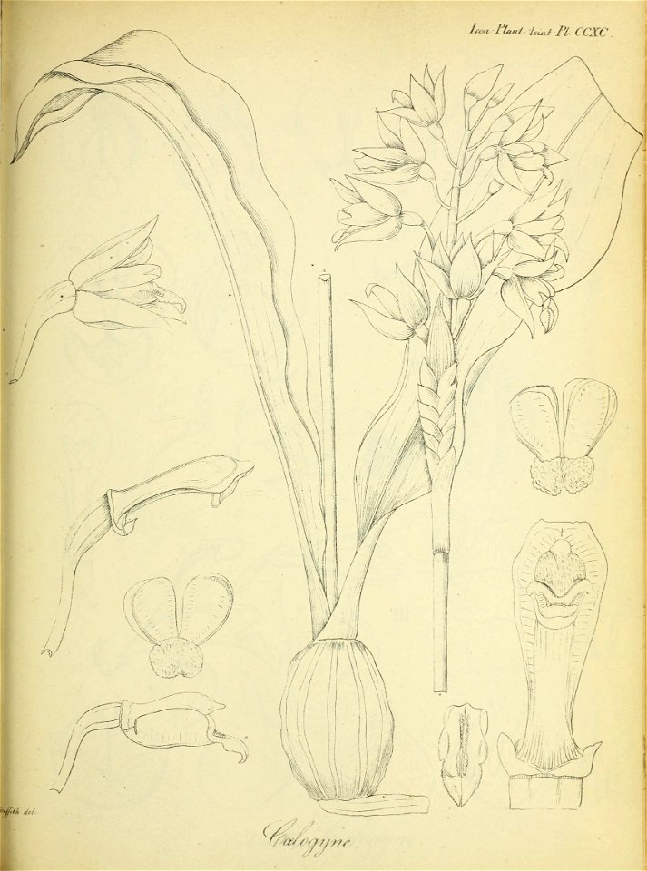 n192_w1150